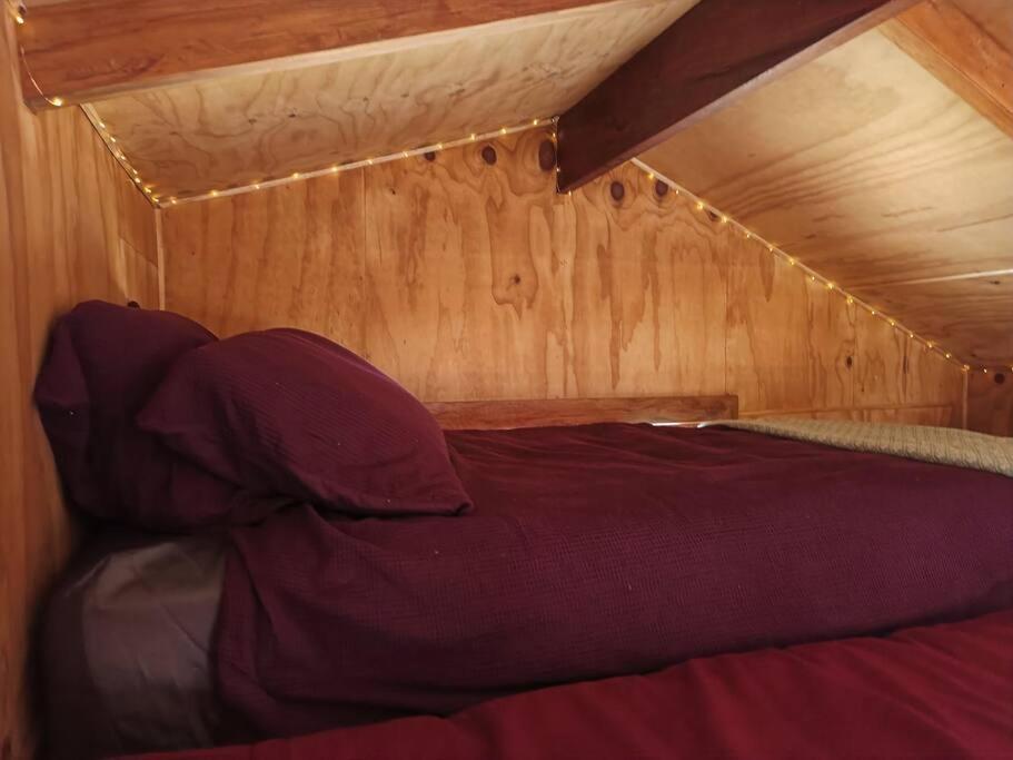 Gumboot Paradise Eco Stay Barrytown Dış mekan fotoğraf